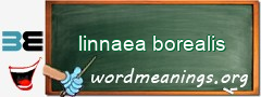 WordMeaning blackboard for linnaea borealis